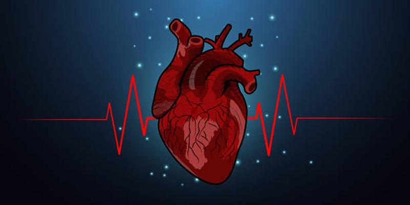 Ectopic Heartbeat Explained: Why Your Heart Skips a Beat or Flutters?